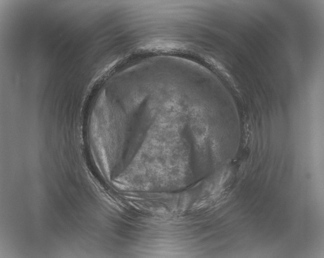X0000054360399200508262320