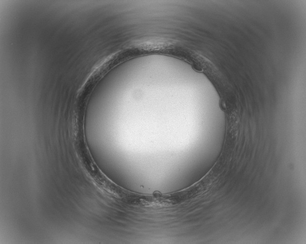 X0000054360400200508262320