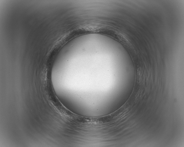 X0000054360404200508262320