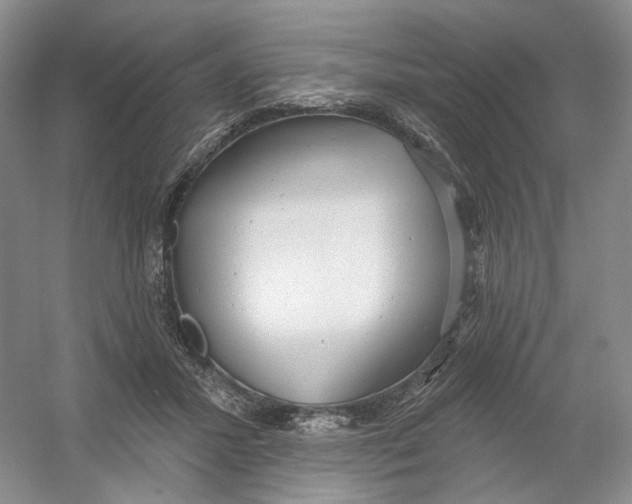 X0000054360407200508262320