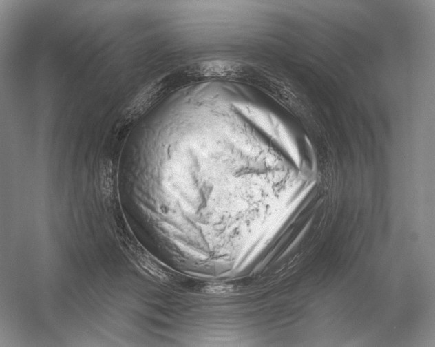 X0000054360413200508262320