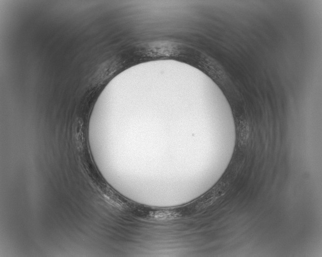 X0000054360414200508262320