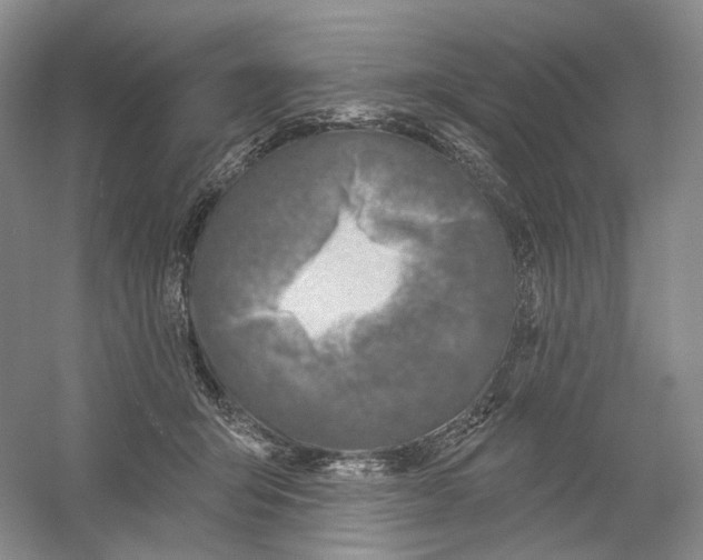X0000054360415200508262320