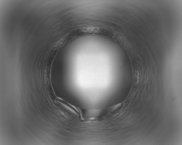 X0000054360416200508262320