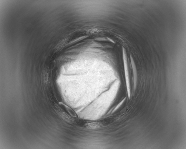 X0000054360417200508262320