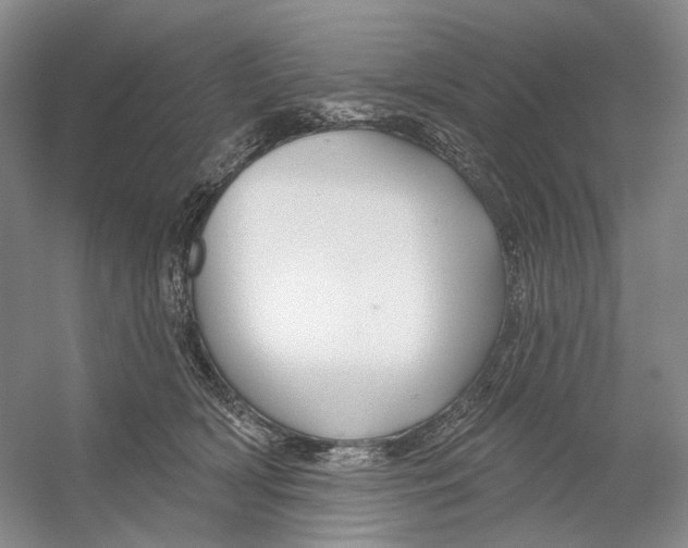 X0000054360418200508262320