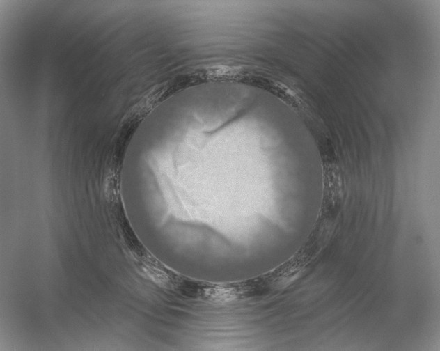 X0000054360419200508262320