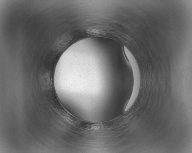 X0000054360420200508262320