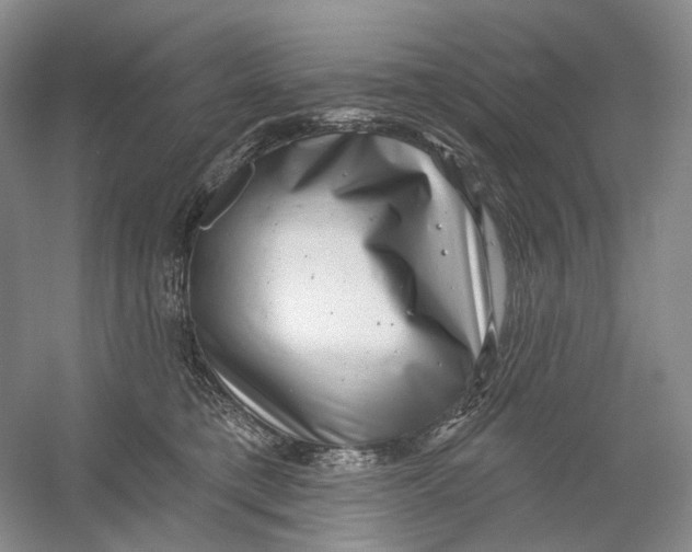 X0000054360421200508262320