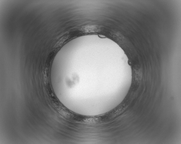 X0000054360422200508262320