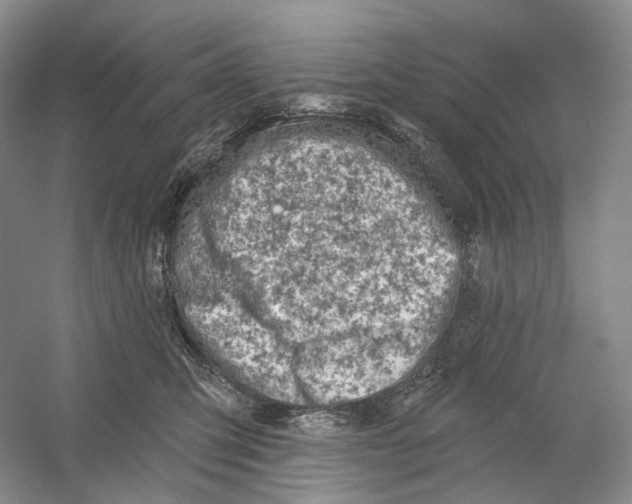 X0000054360423200508262320
