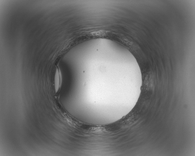 X0000054360424200508262320
