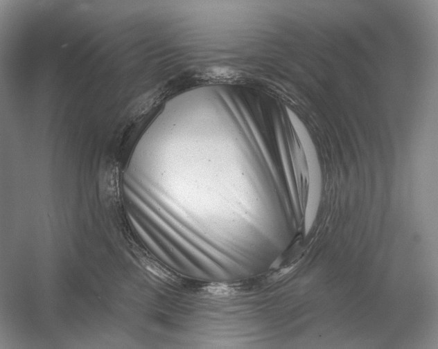 X0000054360425200508262320
