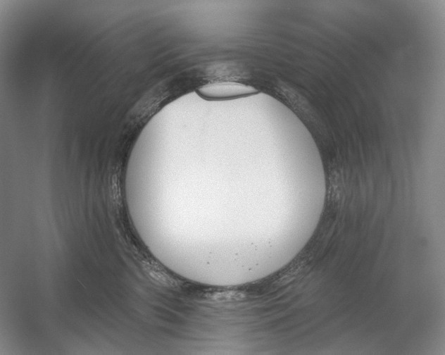 X0000054360426200508262320