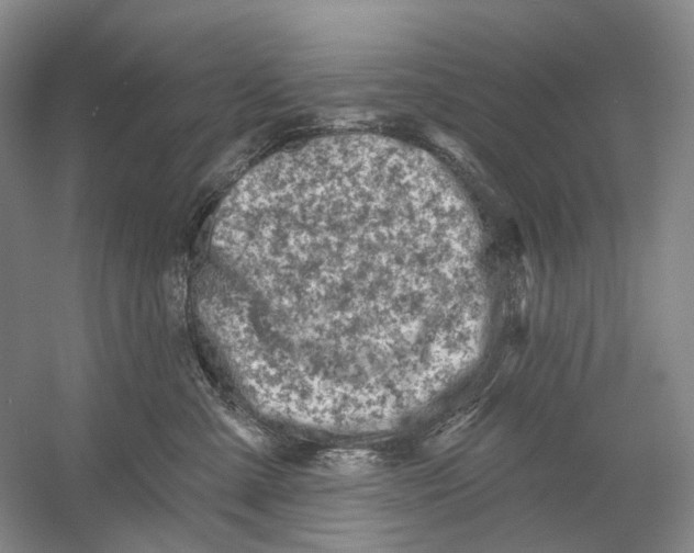 X0000054360427200508262320