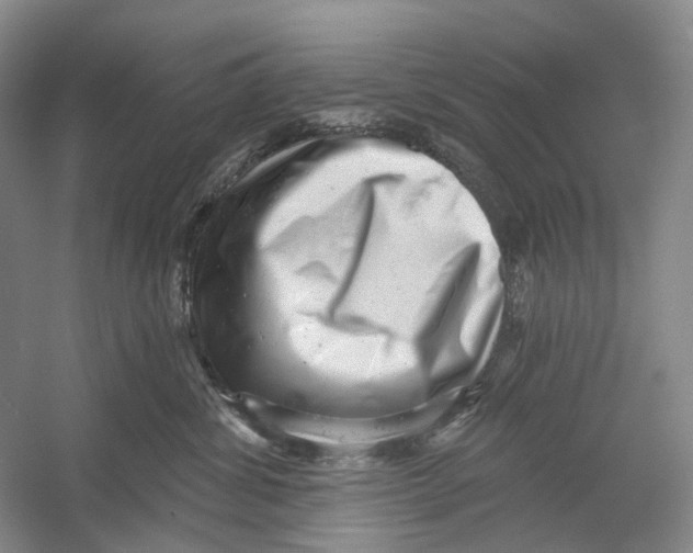 X0000054360428200508262320