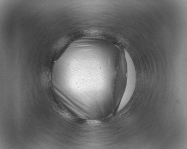 X0000054360429200508262320