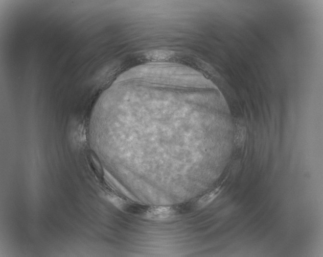 X0000054360431200508262320