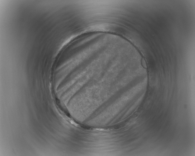 X0000054360434200508262319