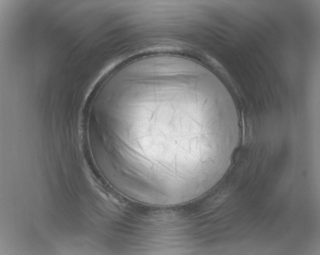 X0000054360435200508262319