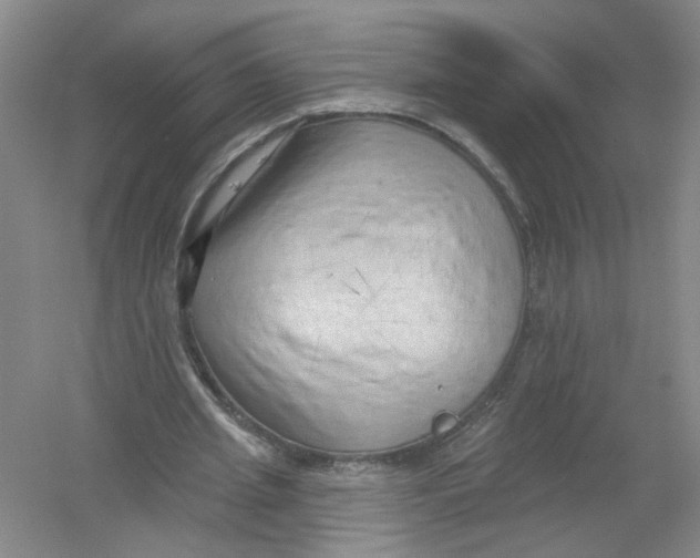 X0000054360437200508262319