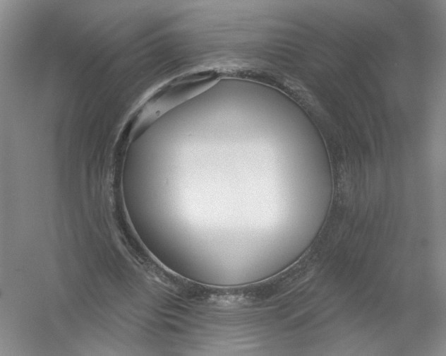 X0000054360440200508262319