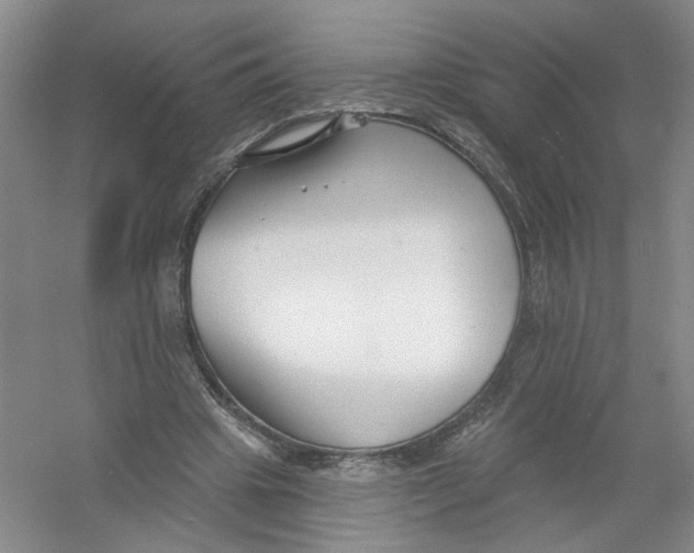 X0000054360441200508262319