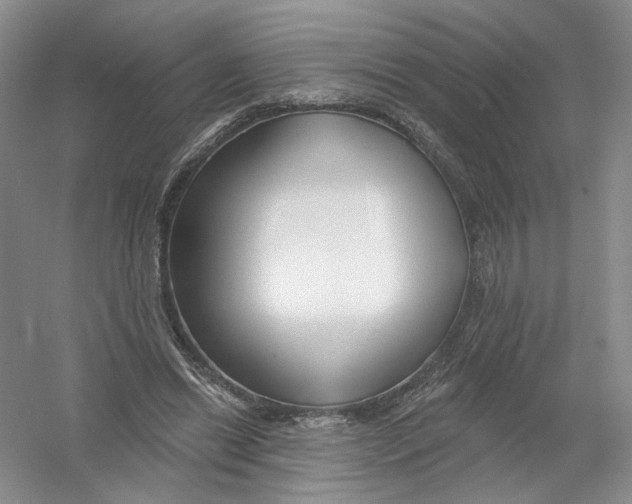 X0000054360446200508262319