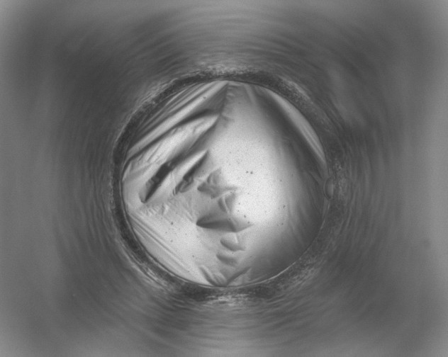 X0000054360447200508262319