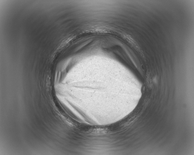 X0000054360449200508262319