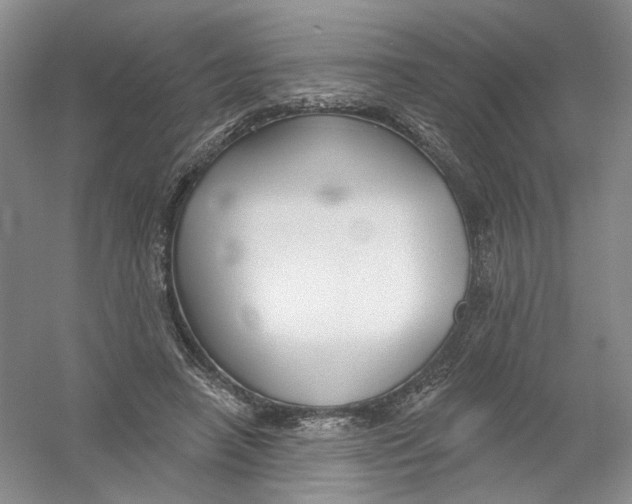 X0000054360450200508262319