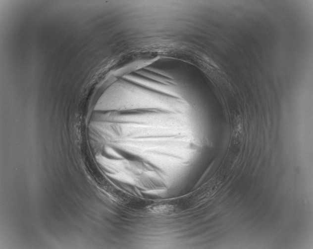 X0000054360452200508262319
