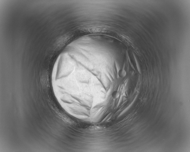 X0000054360453200508262319