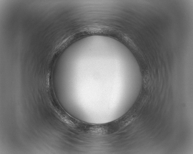 X0000054360454200508262319