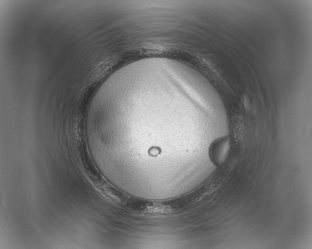 X0000054360455200508262319