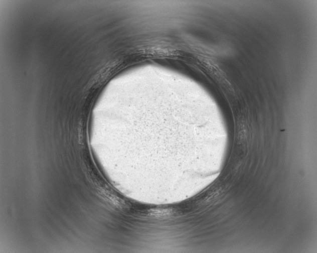 X0000054360457200508262319