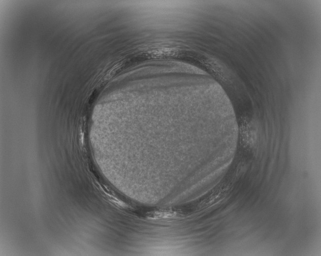 X0000054360458200508262319