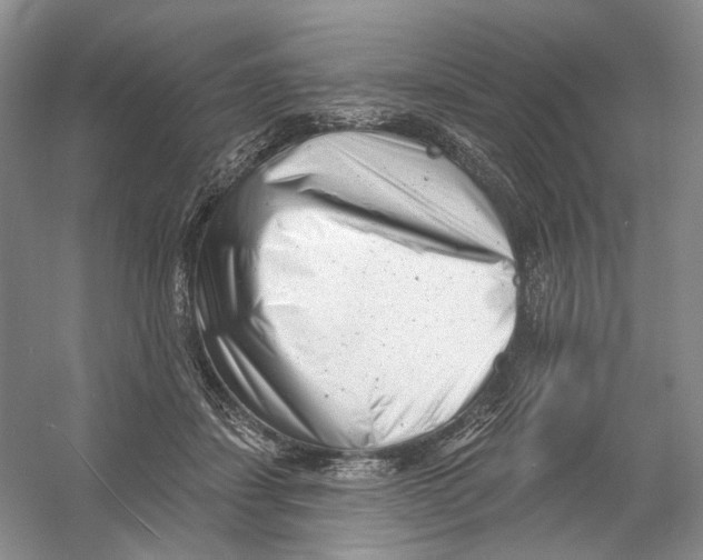X0000054360459200508262319
