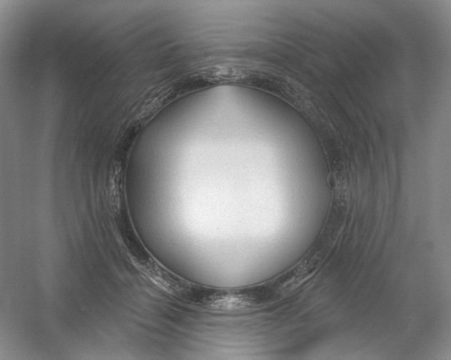 X0000054360460200508262319