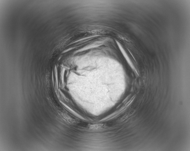 X0000054360461200508262319