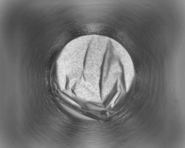 X0000054360462200508262319