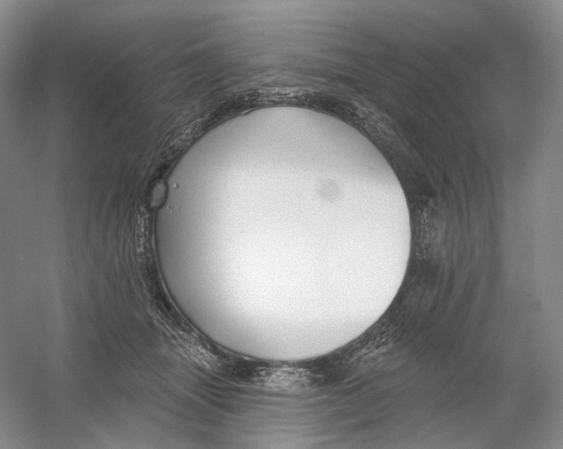 X0000054360463200508262319