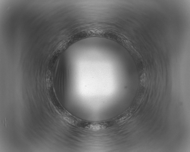 X0000054360464200508262319