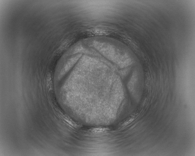 X0000054360465200508262319