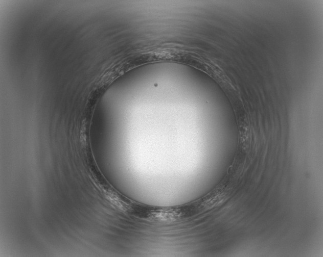 X0000054360466200508262319
