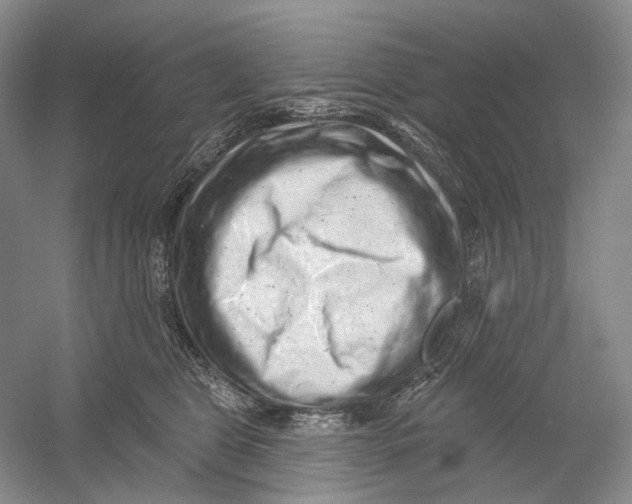 X0000054360469200508262319