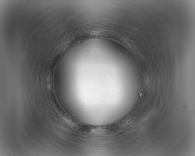 X0000054360470200508262319