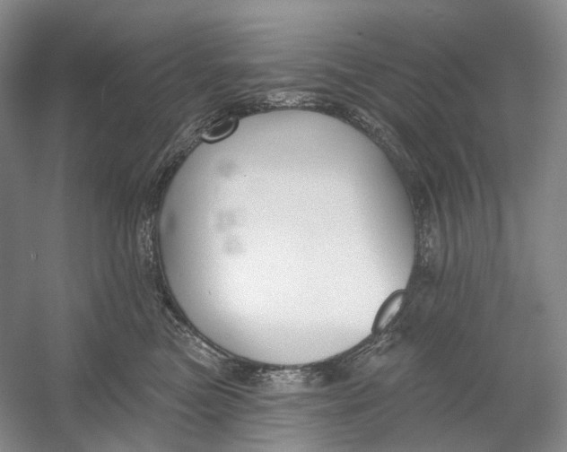 X0000054360473200508262319