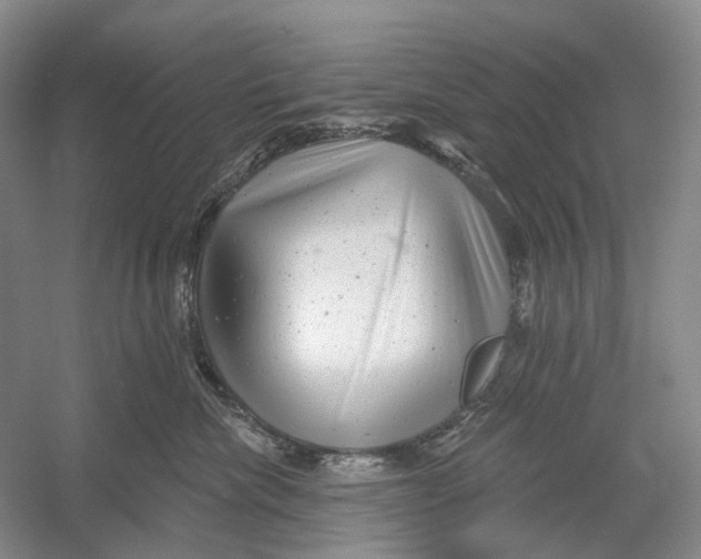 X0000054360476200508262319