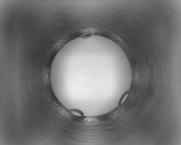 X0000054360477200508262319